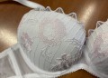 IMG_7395.jpeg