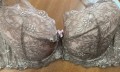 IMG_8307.jpeg